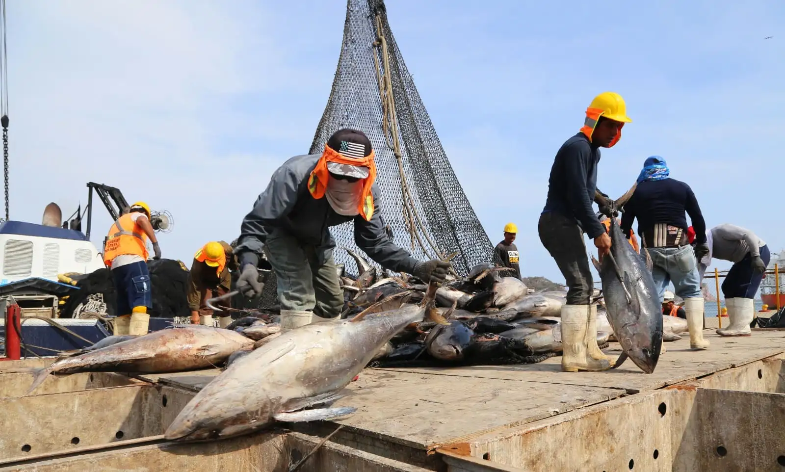 imagen-producto-thelogisticsworld