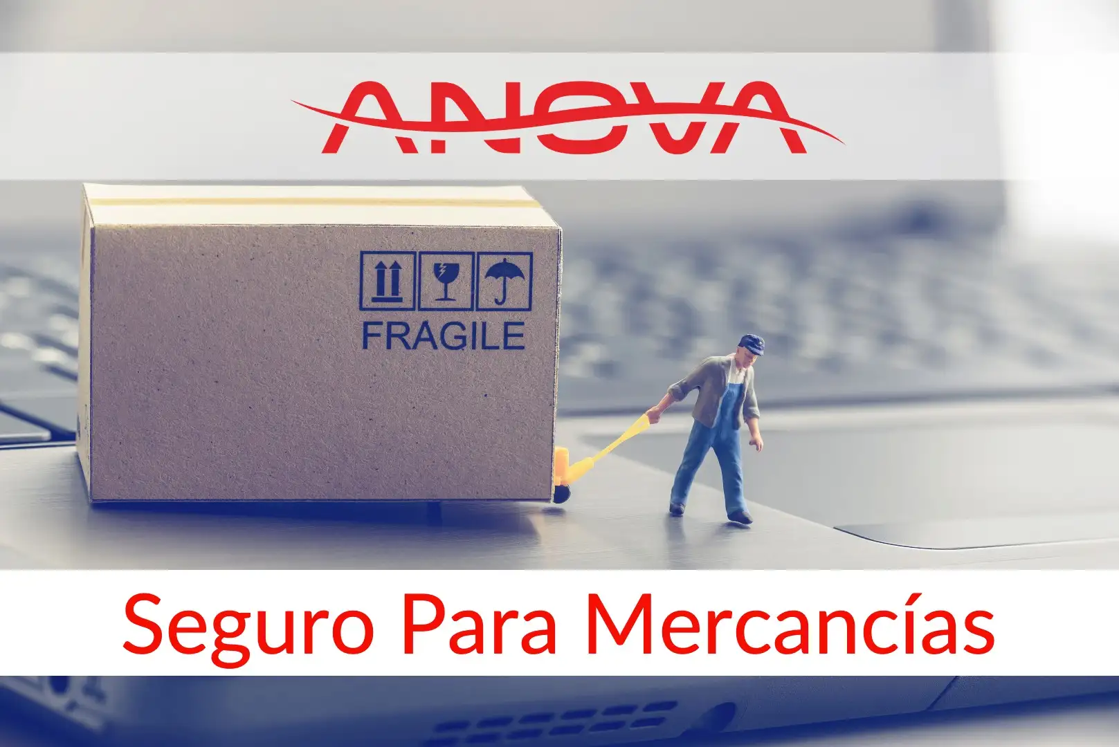 imagen-producto-thelogisticsworld