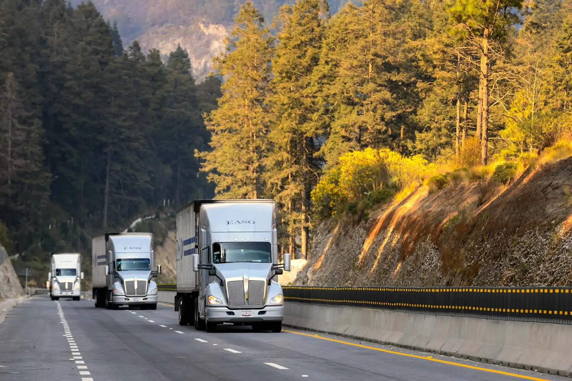 imagen-producto-thelogisticsworld