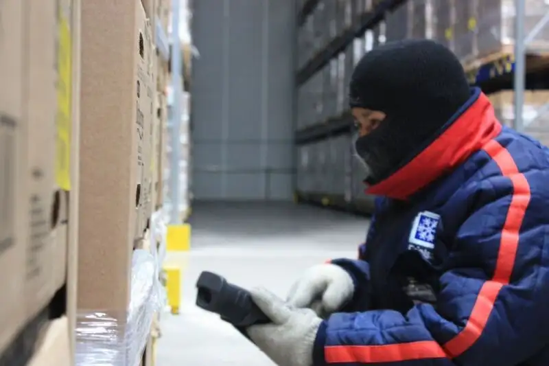 imagen-producto-thelogisticsworld