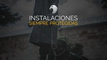 imagen-producto-thelogisticsworld