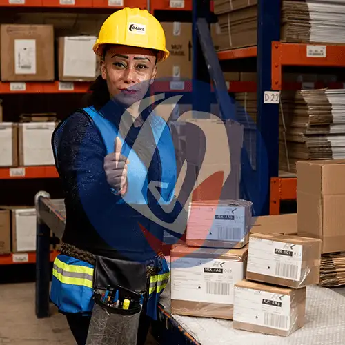 imagen-producto-thelogisticsworld