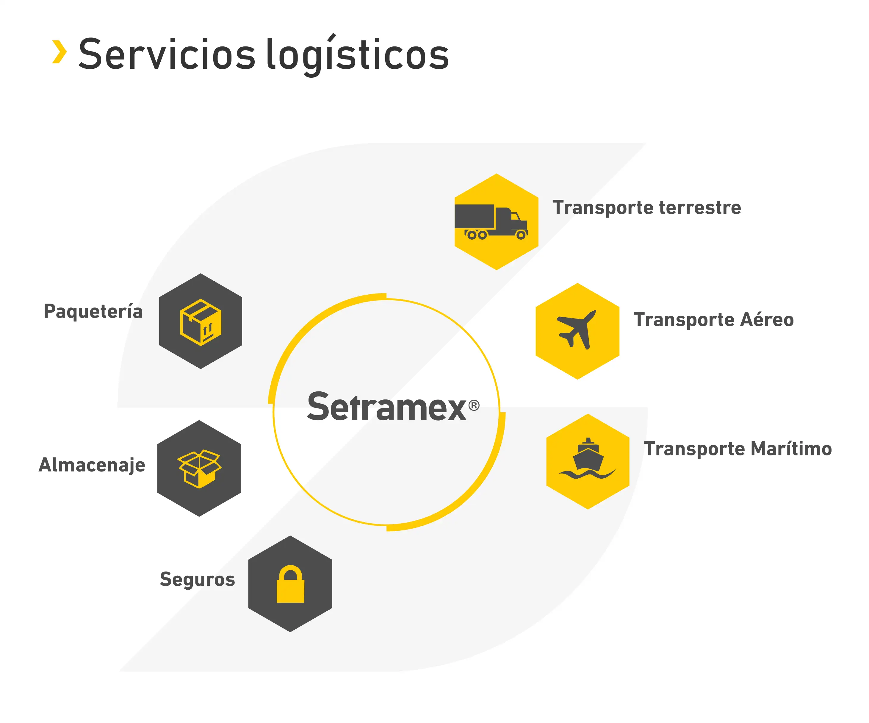 imagen-producto-thelogisticsworld